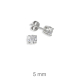 PENDIENTES PLATA GARRA ZTA 5 mm PRESION