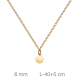 GARGANTILLA PLATA B.ORO CIRCULO 40+5CM