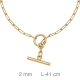 CHOKER PLATA B.ORO CADENA FINA 43CM